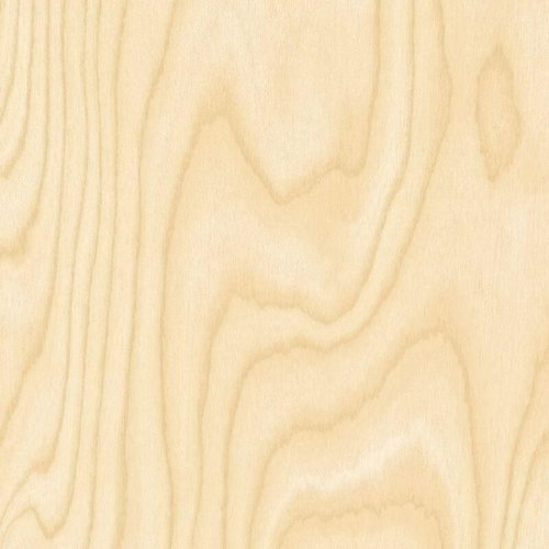 B102 EXM Bouleau de Sibérie