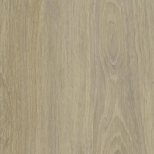 C105 EXM - ESA Chêne QuéBec