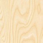 B102 EXM Bouleau de Sibérie