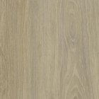 C105 EXM - ESA Chêne QuéBec